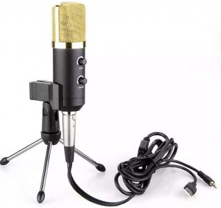 Microfone Condensador Usb Estudio Bm100Fx 648 - Lorben