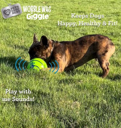 Brinquedo Interativo Wobble Wag Giggle para Cães - Diversão Garantida - Unidade