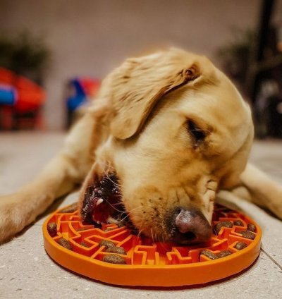 Tapete para Lamber e Comedouro Pet Games Labirinto Verde-Água G - Diversão e Enriquecimento para Cães